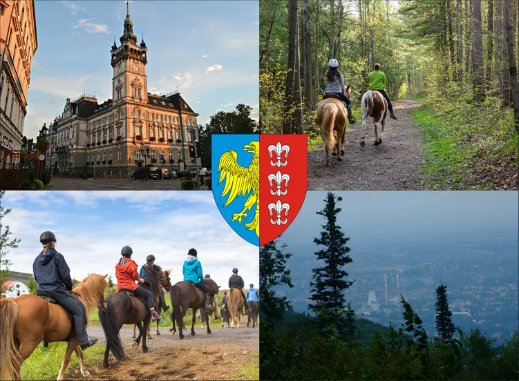 Bielsko-Biała - cennik jazdy konnej - zobacz ceny w lokalnych stadninach