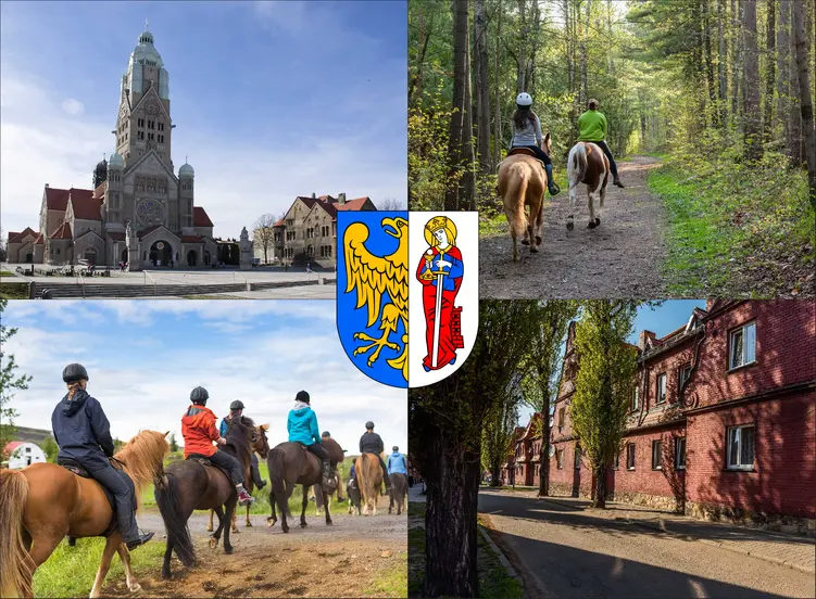 Ruda Śląska - cennik jazdy konnej - zobacz ceny w lokalnych stadninach