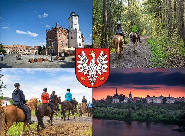 Sandomierz - cennik jazdy konnej - zobacz ceny w lokalnych stadninach