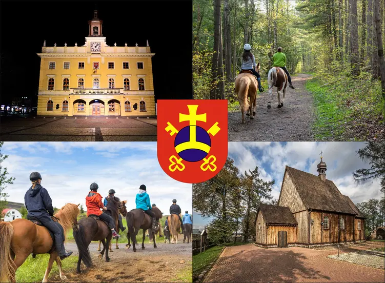 Ostrów Wielkopolski - cennik jazdy konnej - zobacz ceny w lokalnych stadninach