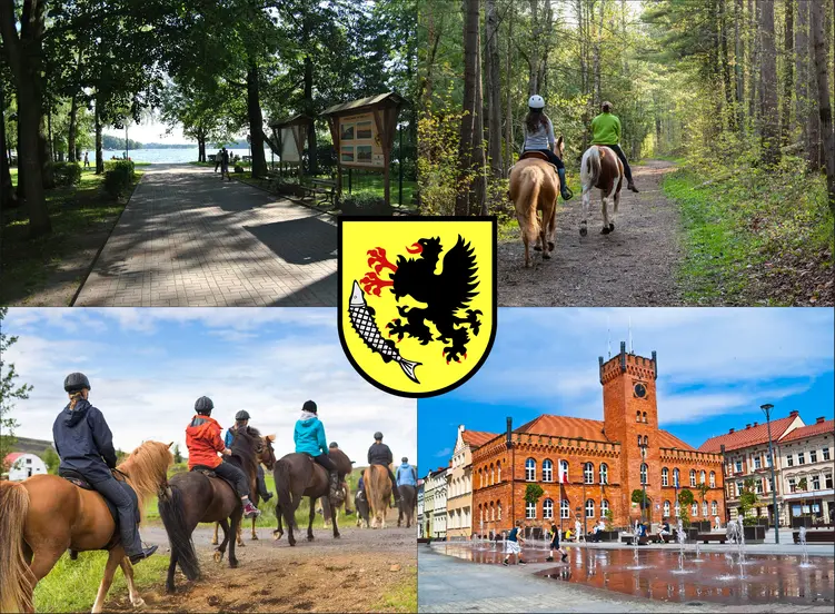 Szczecinek - cennik jazdy konnej - zobacz ceny w lokalnych stadninach