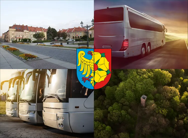 Wodzisław Śląski - cennik wynajmu busów i autokarów