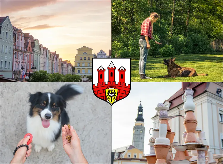 Bolesławiec - cennik szkolenia psów - zobacz lokalne ceny tresury i psich przedszkoli
