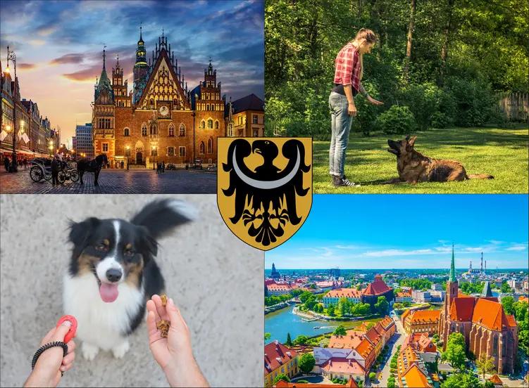 Wrocław - cennik szkolenia psów - zobacz lokalne ceny tresury i psich przedszkoli