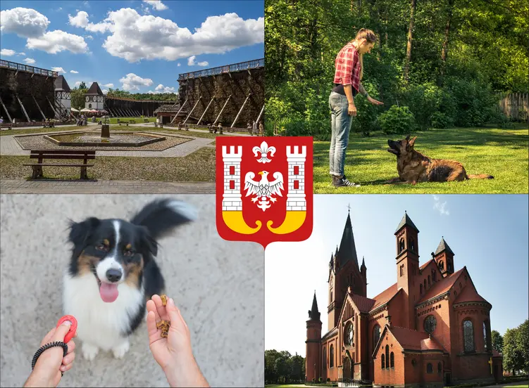 Inowrocław - cennik szkolenia psów - zobacz lokalne ceny tresury i psich przedszkoli