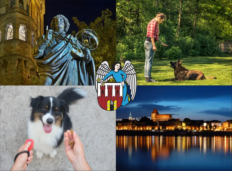 Toruń - cennik szkolenia psów - zobacz lokalne ceny tresury i psich przedszkoli