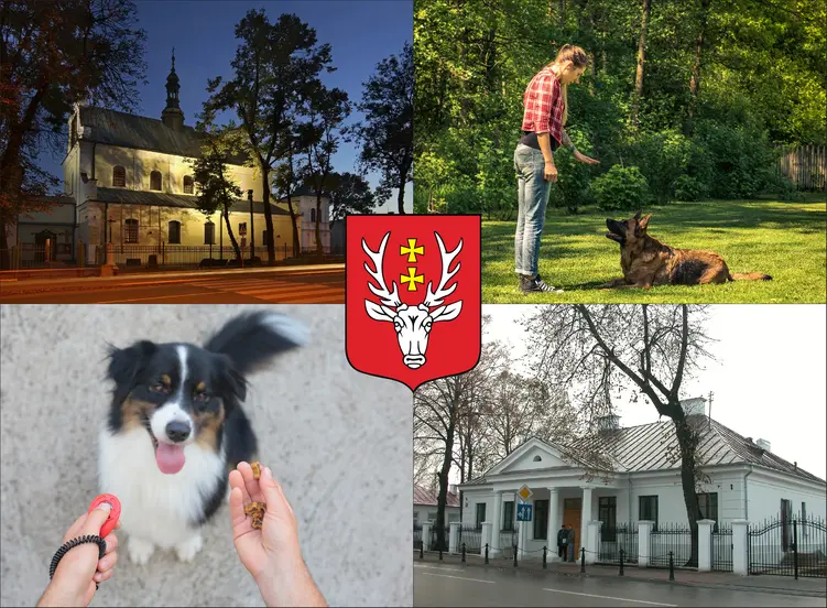 Hrubieszów - cennik szkolenia psów - zobacz lokalne ceny tresury i psich przedszkoli