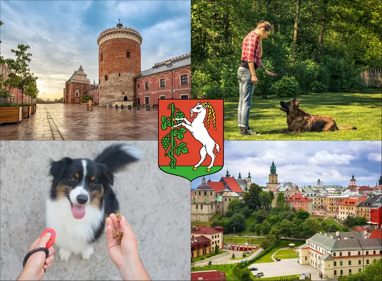 Lublin - cennik szkolenia psów - zobacz lokalne ceny tresury i psich przedszkoli