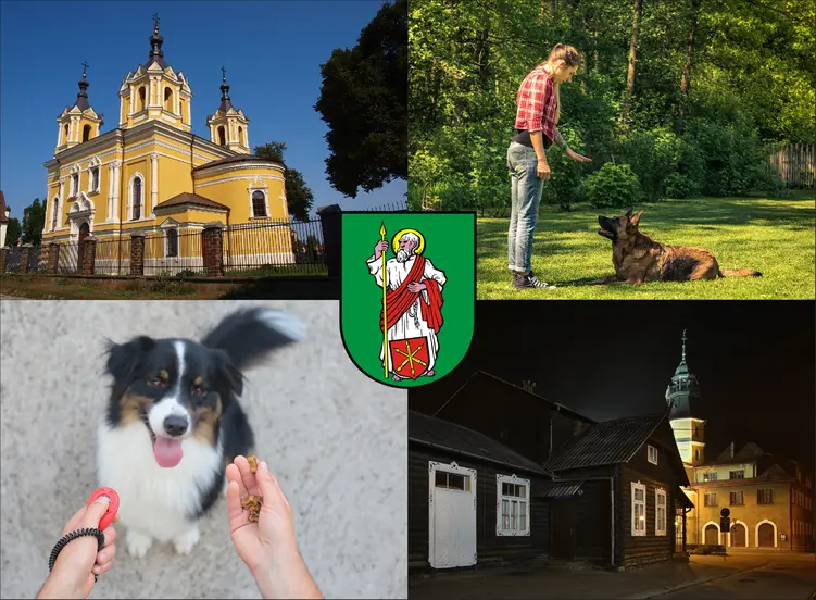 Tomaszów Lubelski - cennik szkolenia psów - zobacz lokalne ceny tresury i psich przedszkoli