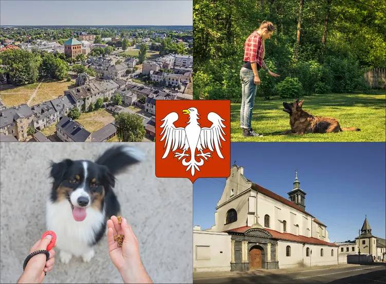 Piotrków Trybunalski - cennik szkolenia psów - zobacz lokalne ceny tresury i psich przedszkoli