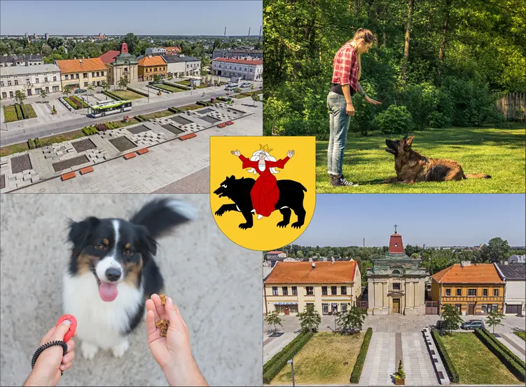 Tomaszów Mazowiecki - cennik szkolenia psów - zobacz lokalne ceny tresury i psich przedszkoli