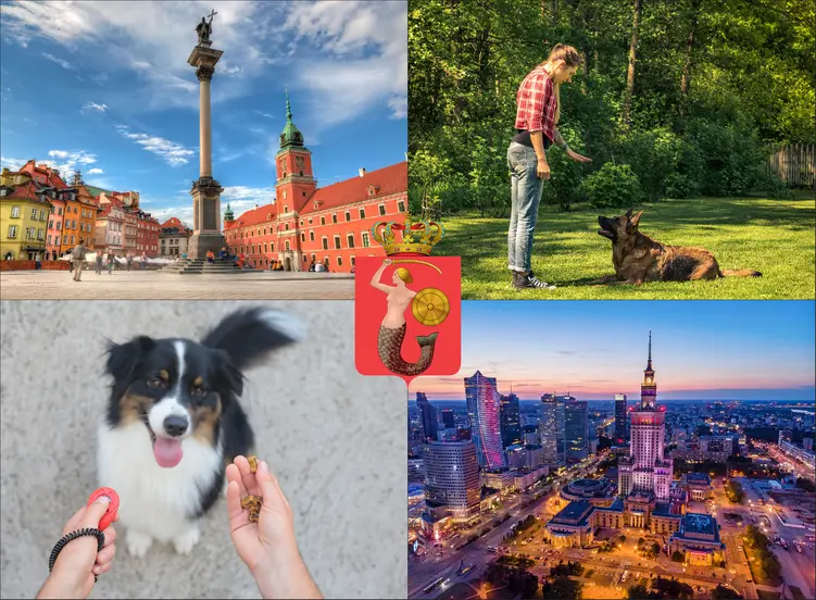 Warszawa - cennik szkolenia psów - zobacz lokalne ceny tresury i psich przedszkoli