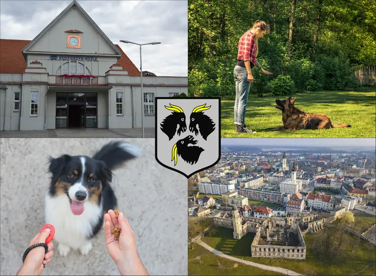 Kędzierzyn-Koźle - cennik szkolenia psów i psich behawiorystów