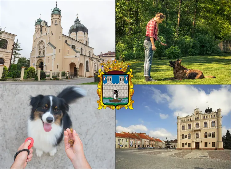 Jarosław - cennik szkolenia psów - zobacz lokalne ceny tresury i psich przedszkoli