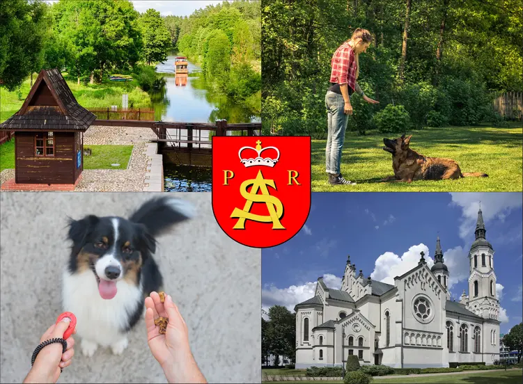 Augustów - cennik szkolenia psów - zobacz lokalne ceny tresury i psich przedszkoli