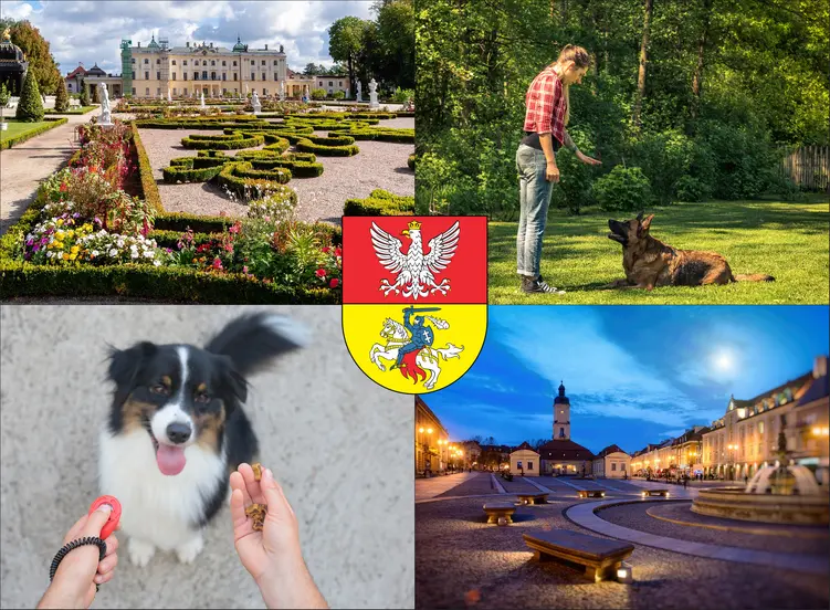 Białystok - cennik szkolenia psów - zobacz lokalne ceny tresury i psich przedszkoli