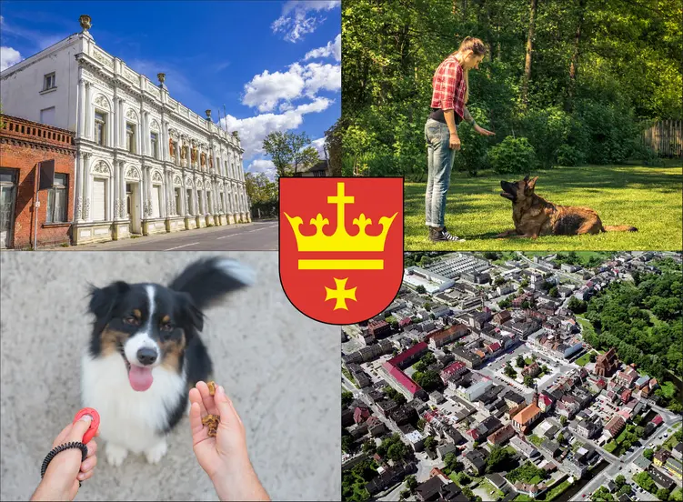 Starogard Gdański - cennik szkolenia psów - zobacz lokalne ceny tresury i psich przedszkoli