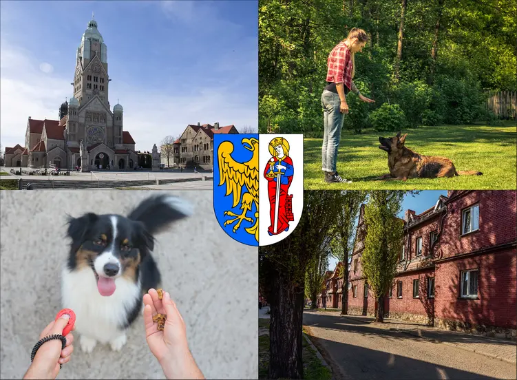 Ruda Śląska - cennik szkolenia psów - zobacz lokalne ceny tresury i psich przedszkoli
