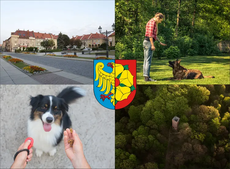 Wodzisław Śląski - cennik szkolenia psów - zobacz lokalne ceny tresury i psich przedszkoli
