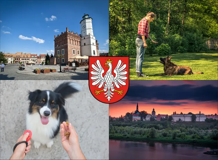 Sandomierz - cennik szkolenia psów - zobacz lokalne ceny tresury i psich przedszkoli
