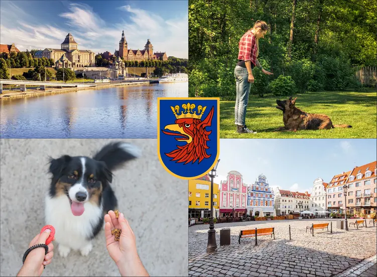 Szczecin - cennik szkolenia psów - zobacz lokalne ceny tresury i psich przedszkoli