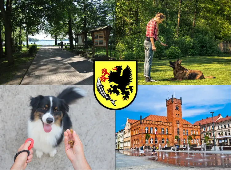Szczecinek - cennik szkolenia psów - zobacz lokalne ceny tresury i psich przedszkoli