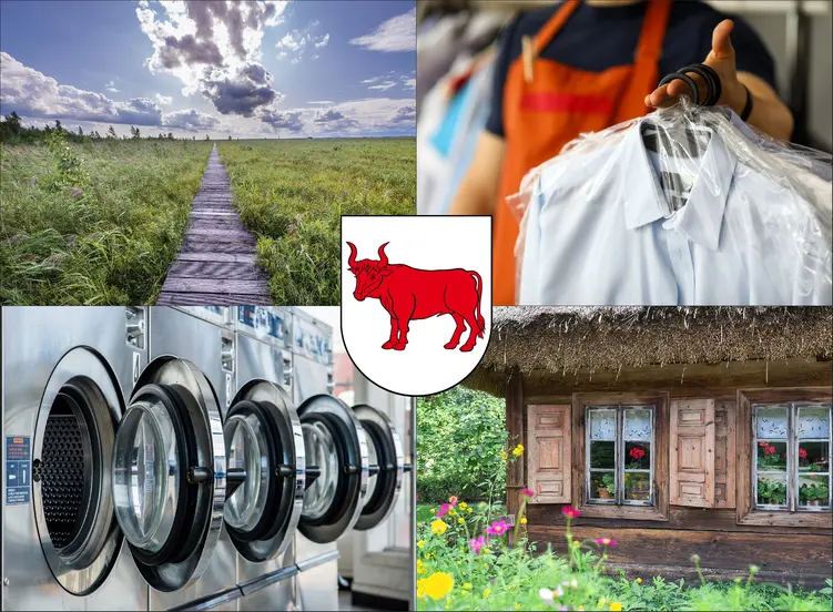 Bielsk Podlaski - cennik pralni i pralni chemicznych - zobacz lokalne ceny