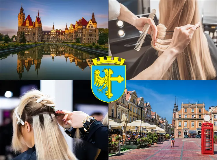 Opole - cennik fryzjerów - zobacz lokalne ceny w salonach i u barberów