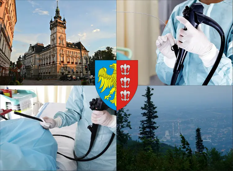 Bielsko-Biała - cena kolonoskopii i gastroskopii prywatnie