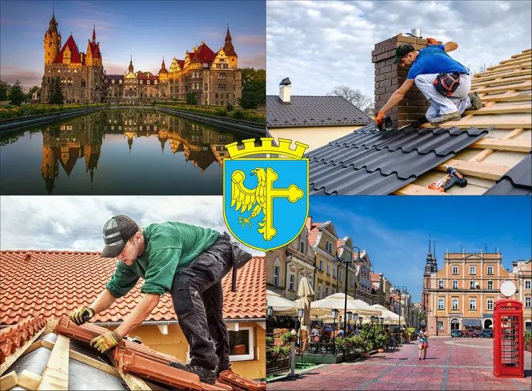 Opole - cennik budowy dachów