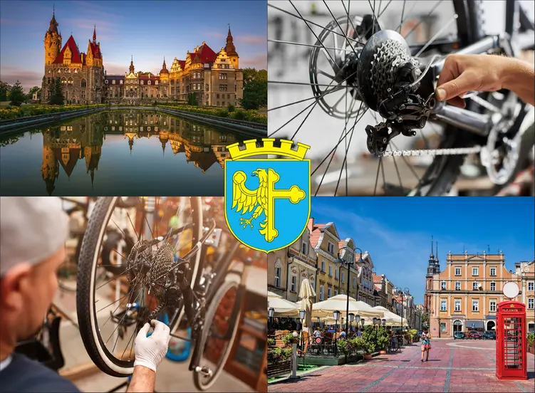 Opole - cennik serwisów rowerowych - sprawdź lokalne ceny naprawy rowerów