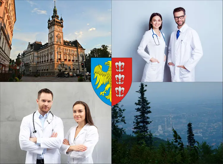 Bielsko-Biała - cennik wizyt u hematologa - sprawdź ceny w lokalnych poradniach hematologicznych