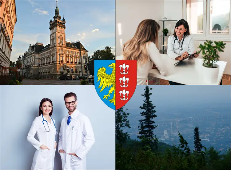 Bielsko-Biała - cennik prywatnych wizyt u laryngologa
