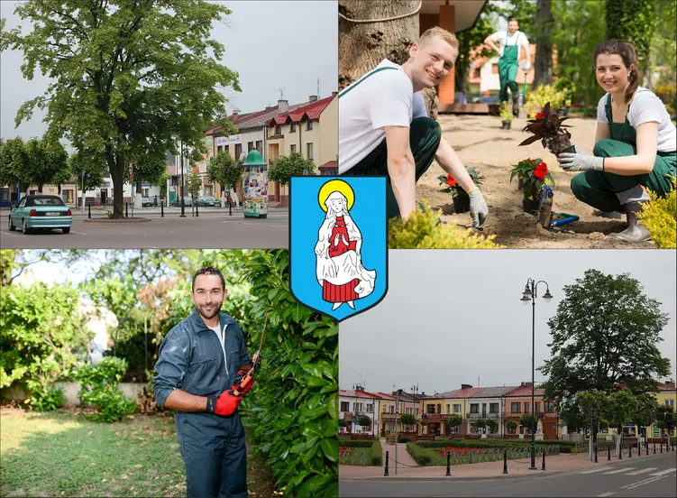 Janów Lubelski - cennik usług ogrodniczych - sprawdź lokalne ceny ogrodników