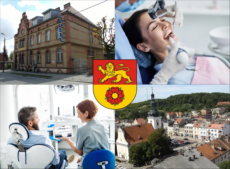 Nowe Miasto Lubawskie - cennik stomatologów - sprawdź lokalne ceny dentystów
