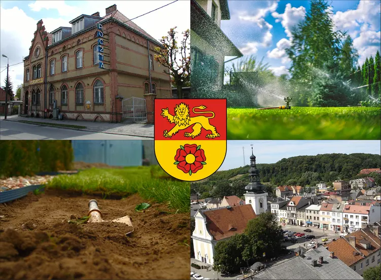 Nowe Miasto Lubawskie - cennik zakładania trawników i trawy z rolki