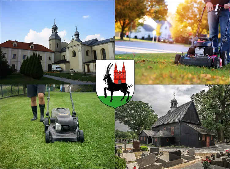 Wieruszów - cennik koszenia trawy - sprawdź lokalne ceny pielęgnacji trawnika