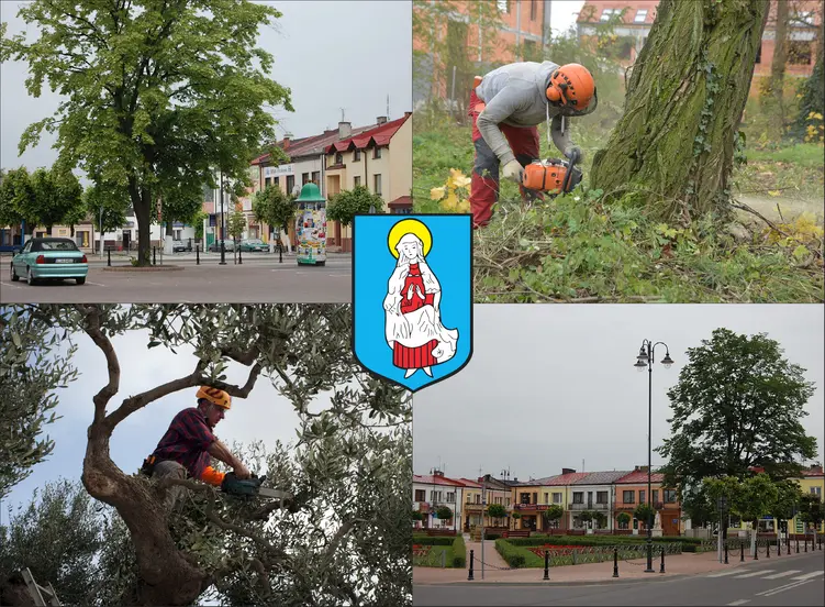 Janów Lubelski - cennik wycinki drzew