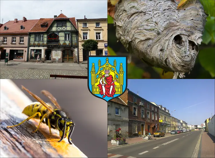 Grodzisk Wielkopolski - cennik usuwania gniazd os i szerszeni - sprawdź lokalne ceny