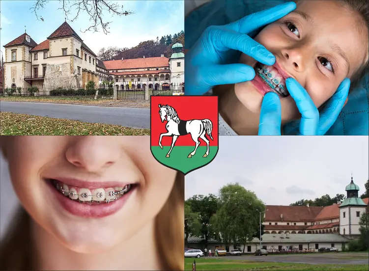 Sucha Beskidzka - cennik ortodontów