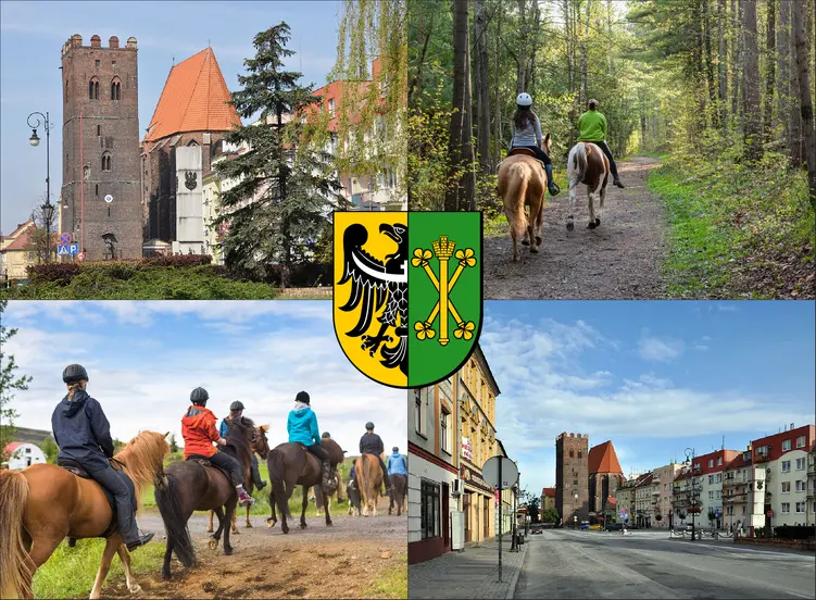 Środa Śląska - cennik jazdy konnej - zobacz ceny w lokalnych stadninach