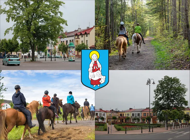 Janów Lubelski - cennik jazdy konnej - zobacz ceny w lokalnych stadninach