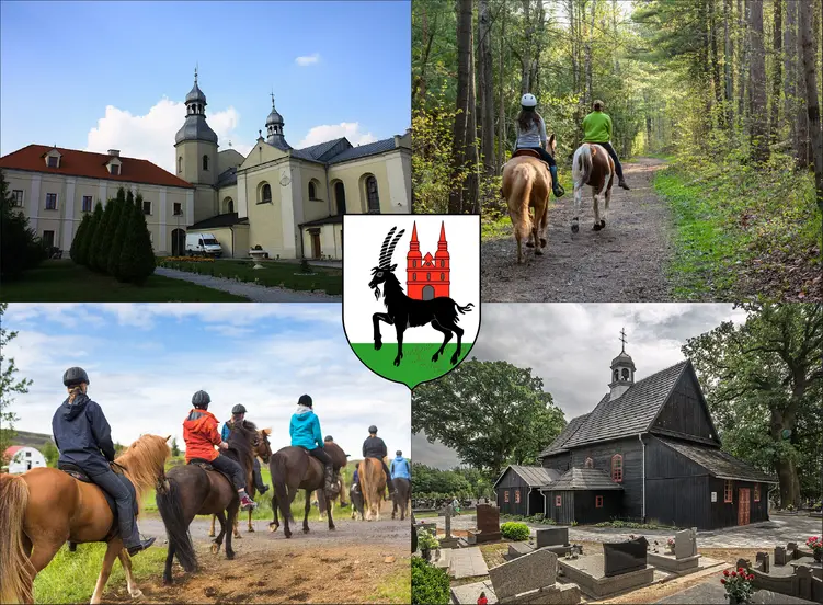Wieruszów - cennik jazdy konnej - zobacz ceny w lokalnych stadninach