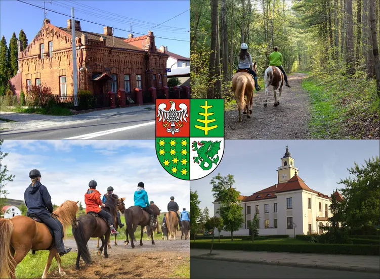 Ostrów Mazowiecki - cennik jazdy konnej