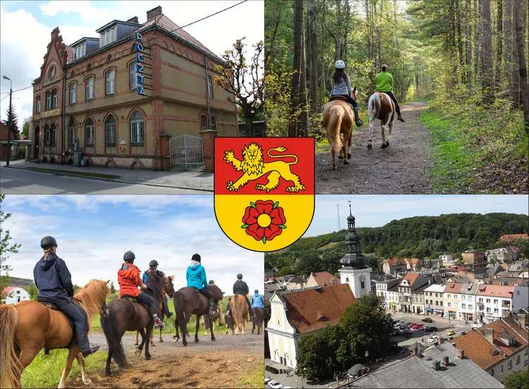 Nowe Miasto Lubawskie - cennik jazdy konnej