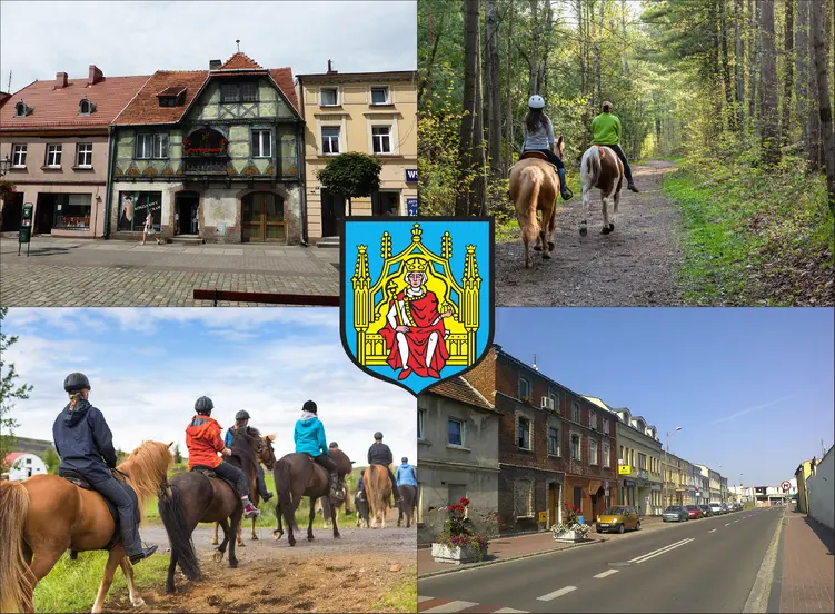 Grodzisk Wielkopolski - cennik jazdy konnej - zobacz ceny w lokalnych stadninach