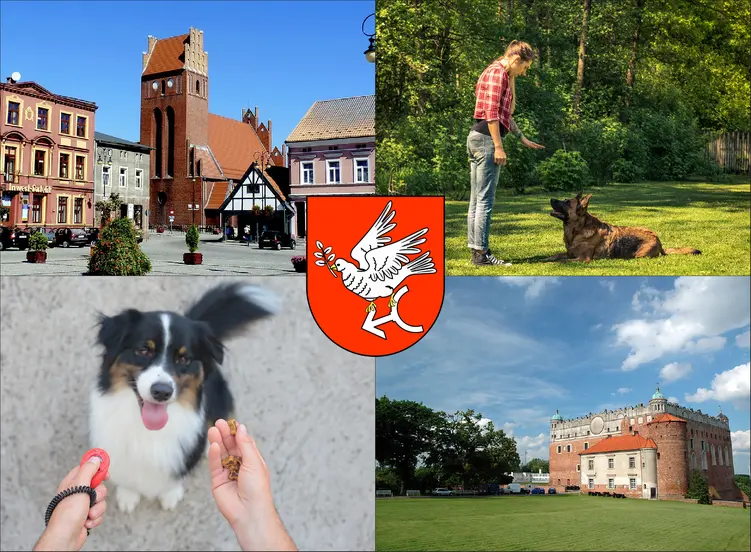Golub-Dobrzyń - cennik szkolenia psów - zobacz lokalne ceny tresury i psich przedszkoli