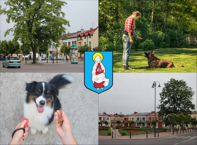 Janów Lubelski - cennik szkolenia psów i psich behawiorystów