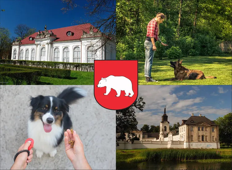 Radzyń Podlaski - cennik szkolenia psów - zobacz lokalne ceny tresury i psich przedszkoli
