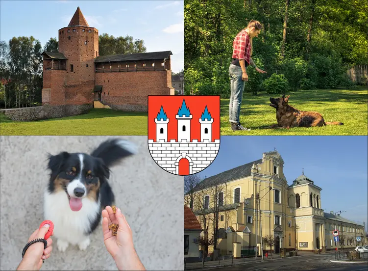 Rawa Mazowiecka - cennik szkolenia psów - zobacz lokalne ceny tresury i psich przedszkoli